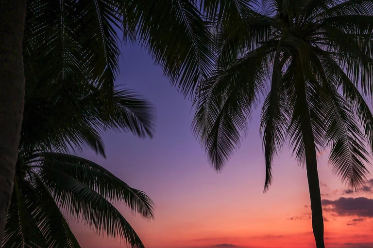 Sanya: Nanshan Scenic Area & Yazhou Ancient City Tour Guide for other languages