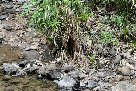 Yogyakarta: Hiking Nature Waterfall & Temples Tour Yogyakarta: Siluwok Waterfall & Temples Tour