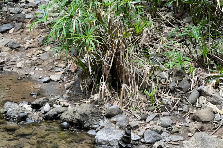 Yogyakarta: Hiking Nature Waterfall & Temples Tour Yogyakarta: Siluwok Waterfall & Temples Tour