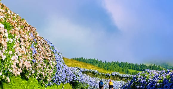 Sete Cidades Jeep Tour Half Day
