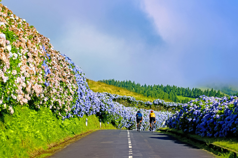 Ponta Delgada: Sete Cidades Jeep Tour