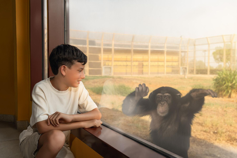 Dubai: Dubai Safari Park Entry Pass Safari Park Pass with Train and Explorer Safari Tour