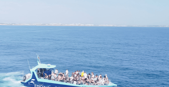 Portimão: 2.5-hour Dolphin Watching — Biologist on Board