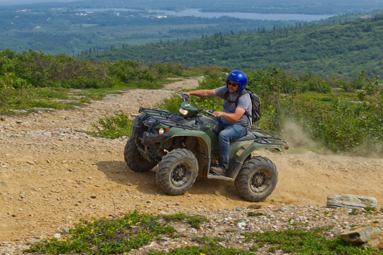 Denali: ATV Trailblazer Tour Single Passenger ATV