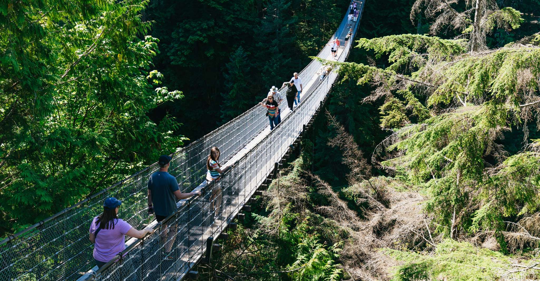 Vancouver, Floatplane and Capilano Suspension Bridge Combo - Hizvo