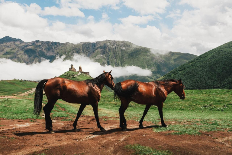 As estradas foram feitas para as viagens, não para os destinos.