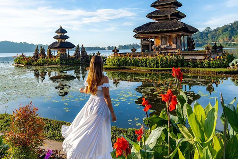 North Bali: Highlight Private Tour with Female Guide Private Tour Without Tickets