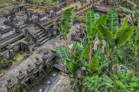 Bali: Ubud Swing, Rice Terrace & Temple Private Day Tour