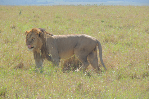 TSAVO EAST: 1 DAY TRIP FROM MOMBASA