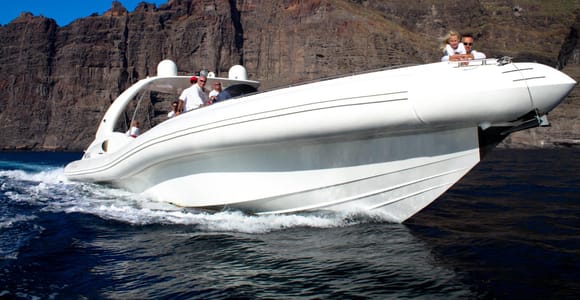 Tenerife: Opera 60 Whale & Dolphin Cruise with Lunch