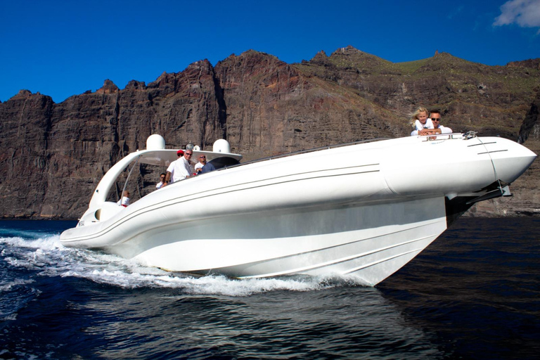 Tenerife: Opera 60 Whale & Dolphin Cruise with Lunch