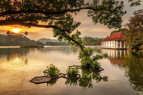 Kandy: Day Tour Explore 10 Top Attractions Tickets Included