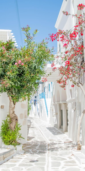 From Paros, Paros and Antiparos Islands Guided Tour - Housity