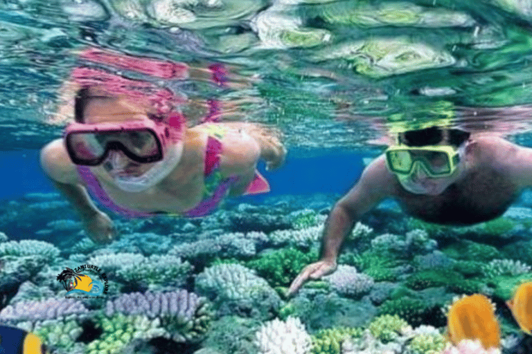 Zanzibar: Tumbatu Island Snorkeling and Sunset Dhow Cruise