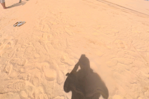 Sandwich Harbour Experience – Where Dunes Kiss the Ocean