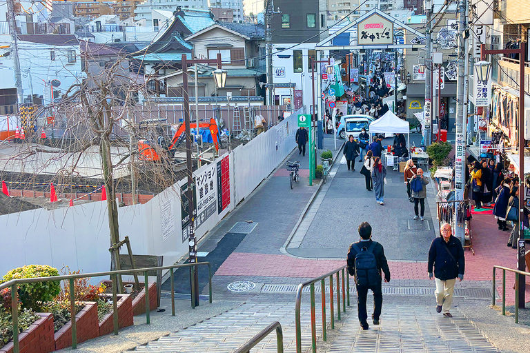 Tokyo: Yanaka District History Walking Tour