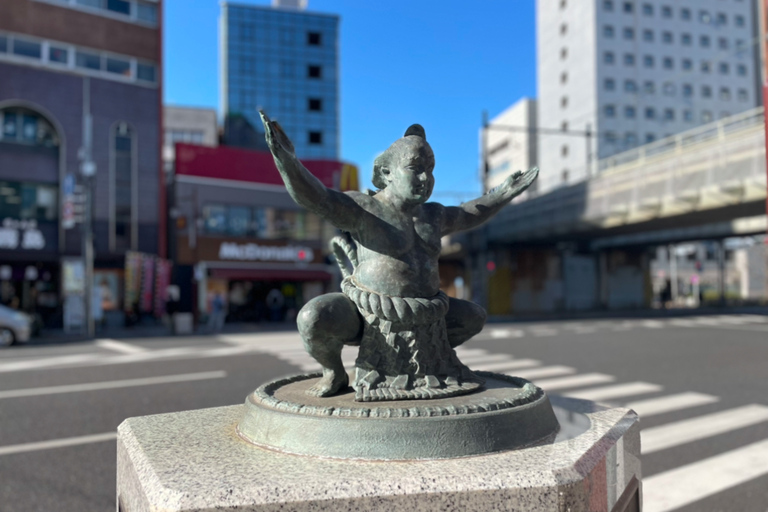 Tokyo: Sumo Tour with Match Entry Ticket C-class seat