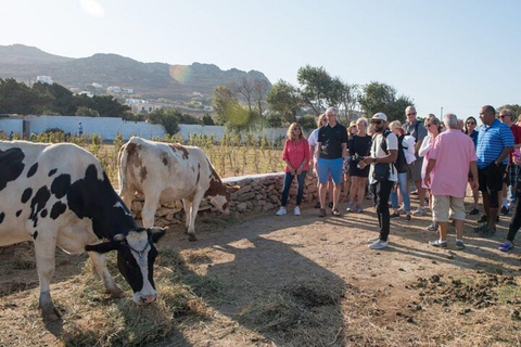 Mykonian Farm Entrance Ticket with Sweet Treat