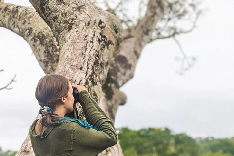 马尔多纳多港：塔里卡亚野生动物救援中心之旅