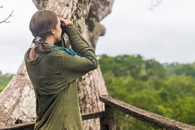 马尔多纳多港：塔里卡亚野生动物救援中心之旅