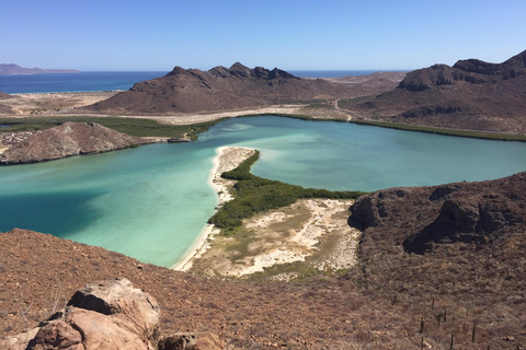 Mangroves & Beaches: Hiking Tour of Balandra, La Paz
