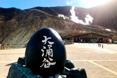 Tokyo: Hakone, Owakudani & Gotemba Premium Outlet 1-Day Tour From Shinagawa