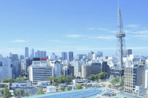 Visite privée de Nagoya avec guide de la région