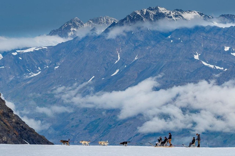 Seward: Heli Tour & Glacier Dogsled with 2 Glacier Landings