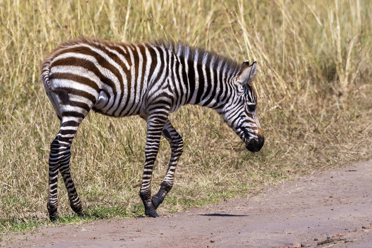 Nairobi: 5-Day Kenya Safari with Meals and Transfers