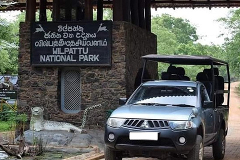 From Colombo: Wilpattu Leopard Safari Private Tour Wilpattu Leopard Safari Private Day Tour