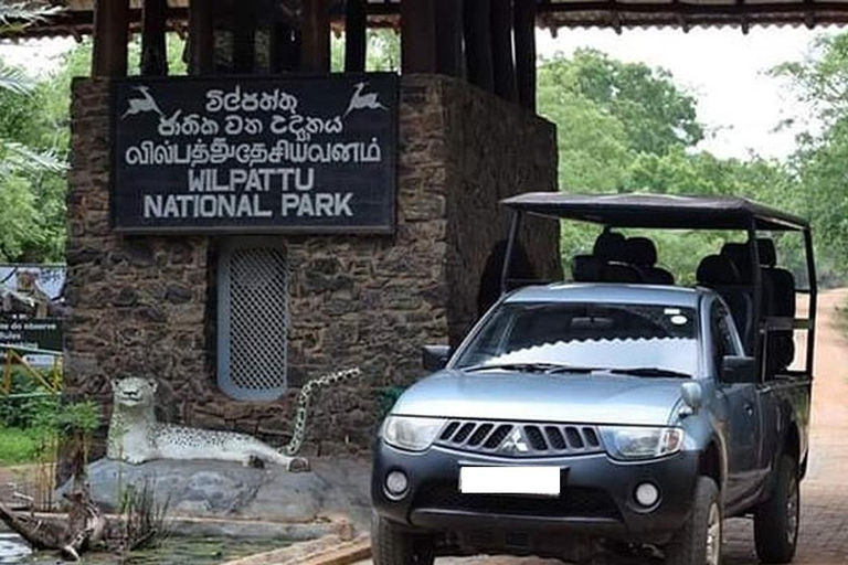 From Colombo: Wilpattu Leopard Safari Private Tour Wilpattu Leopard Safari Private Day Tour