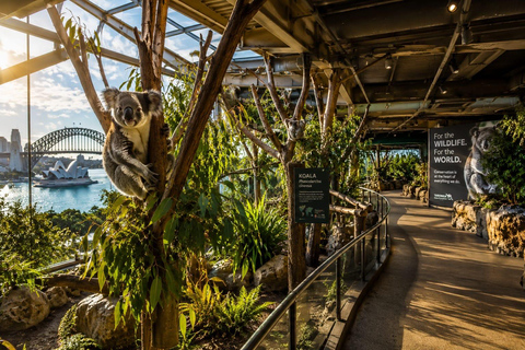 Sydney: Taronga Zoo Entry Ticket with Keeper Talks