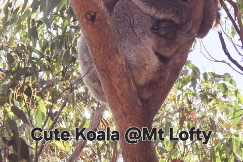 From Adelaide: Full-Day Hills to Wildlife Tour with Lunch