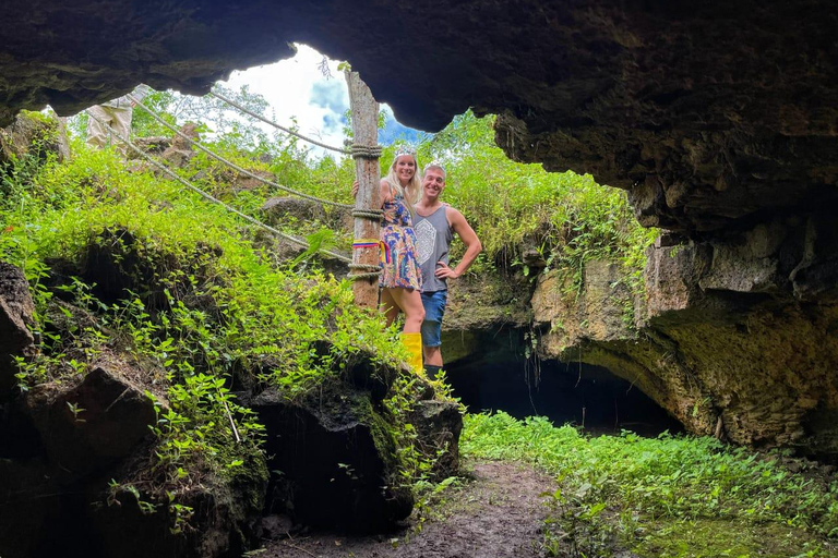 Galapagos: Giant Tortoises & Lava Tunnels tour with a Dome Stay Giant Tortoises & Lava Tunnels Experience with a Dome Stay