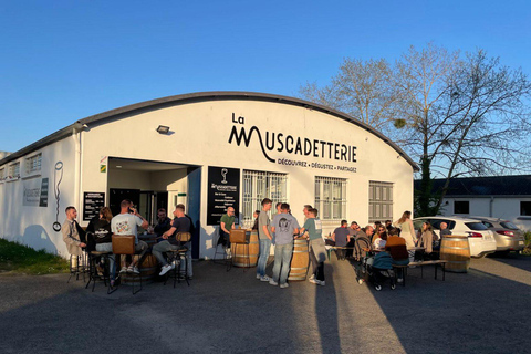 The Muscadet Experience: a fun sensory tour and tasting in Nantes The Muscadet Experience: a fun sensory journey and tasting in Nantes