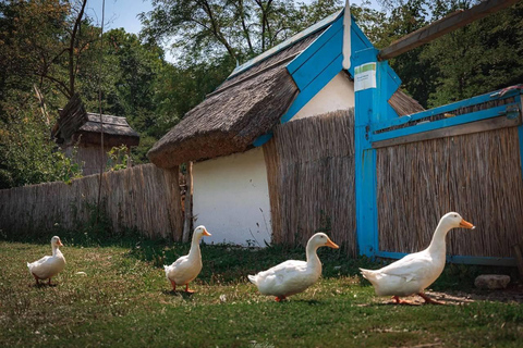 Brașov: Dumbrava Sibiului Museum & Sibiu Day Trip