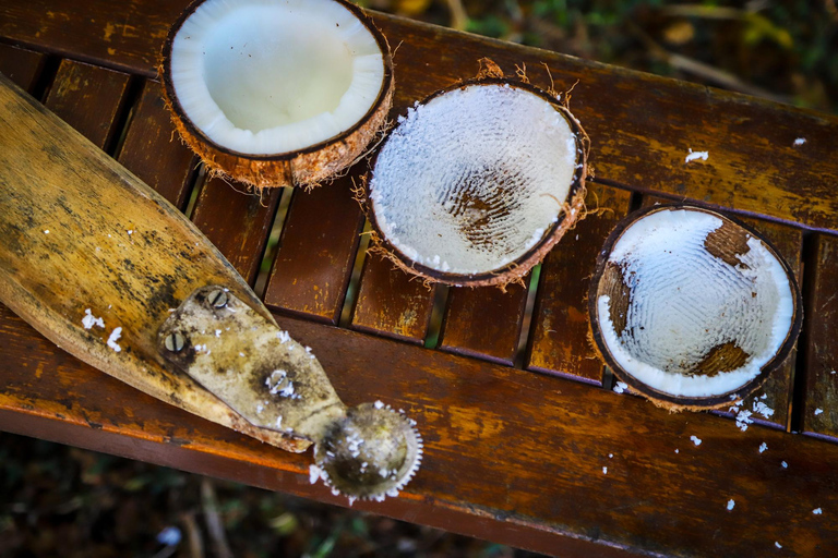 Fidji : visite d&#039;une ferme, animaux, miel et cuisine fidjienneFiji: Farm Tour: Animals, Honey Tasting &amp; Fijian Cooking