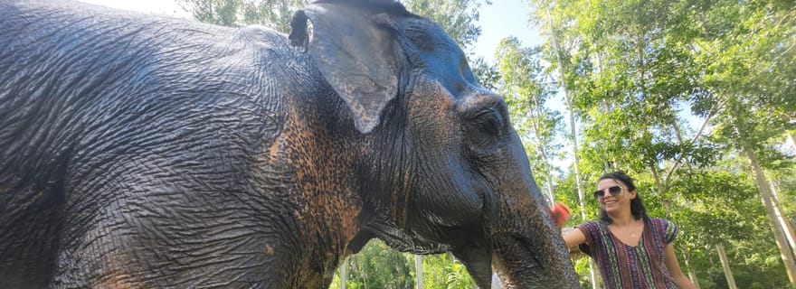 Phuket : Demi-journée ou 2 heures dans un sanctuaire de soins éthiques aux éléphants