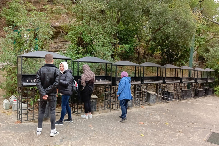 Depuis Izmir çeşme : Visite privée d&#039;Éphèse et de la Maison de Marie