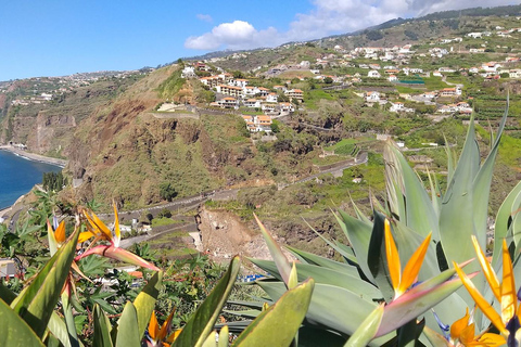 Private Minubus 8 seater