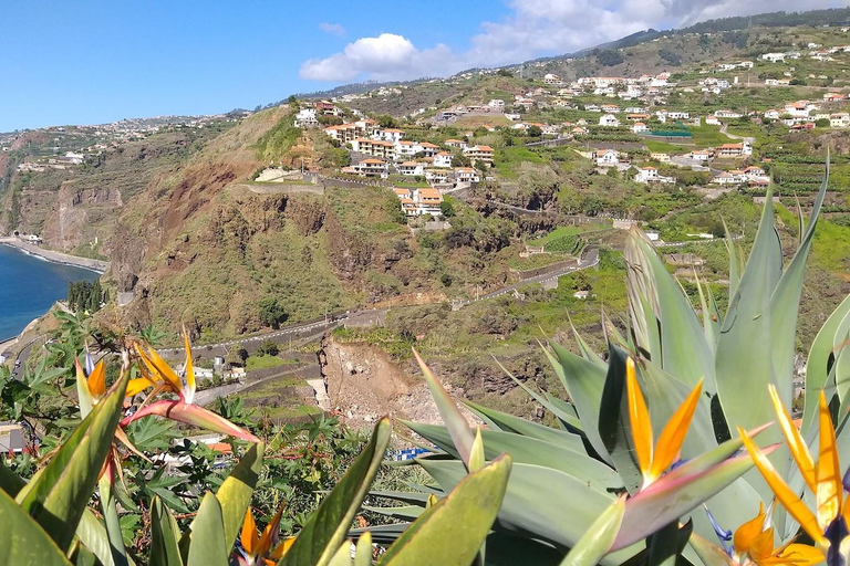 Private Minubus 8 seater