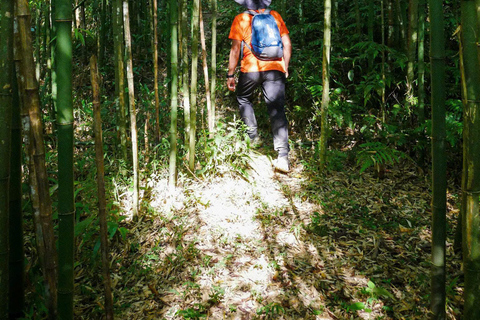 Jednodniowy trekking w Sapa: tarasy ryżowe i wioski etniczne