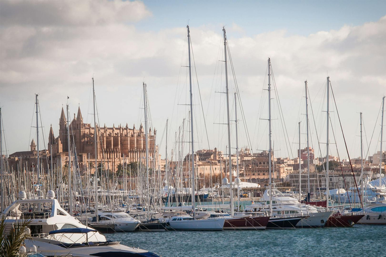 Palma: Palma City and Valldemossa Full-Day Shore Excursion