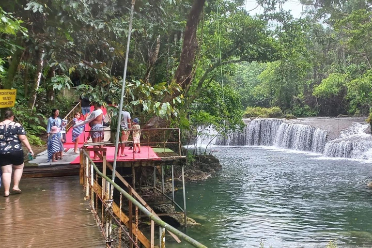 Port Vila: Blue Lagoon, Banana Bay, BBQ &amp; Turtles Day Tour