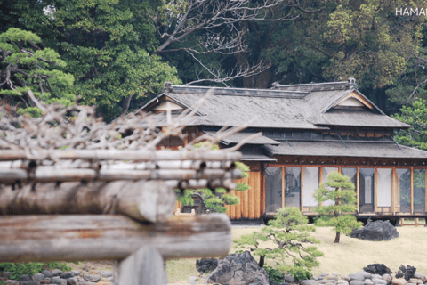 طوكيو في أي مكان تريد! جولة مخصصة في طوكيو في 3 ساعات