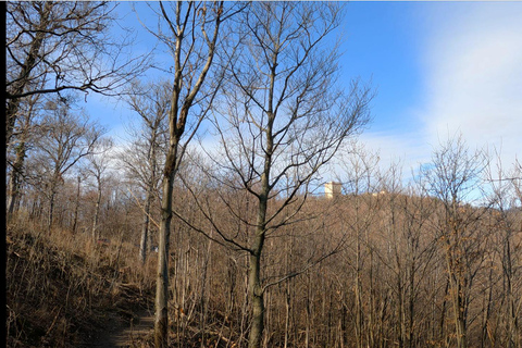 Zagreb: Easy Hike to Medvedgrad Fortress