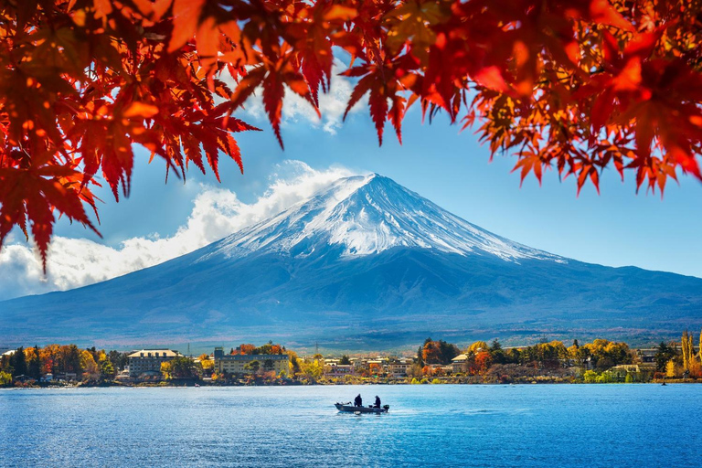 Tokyo: Mt. Fuji Private Scenic Tour with Customizable Stops
