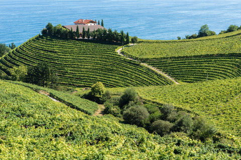 Von Bilbao: Ausflug nach San Sebastian, Hondarribia und GetariaSpanische Tour