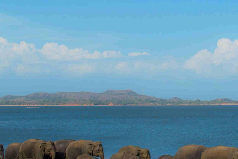 Kandy: Sigiriya Dambulla and Wildlife Watching Guided Tour Kandy: Sigiriya Dambulla and Jeep Safari All Inclusive