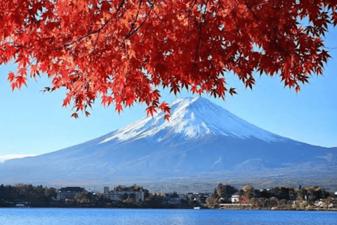 Depuis Tokyo : excursion privée au mont Fuji avec guide anglophone
